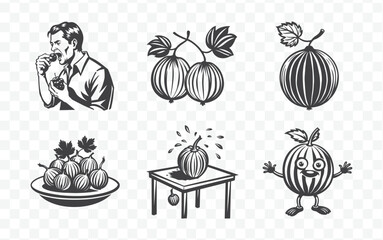 Elegant Gooseberry Outlines Collection for Creative Designs