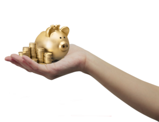 Luxury Wealth and Finance Concept: Golden Piggy Bank with Crown and Gold Coins on Silver Tray, Symbolizing Investment, Savings, Prosperity, Financial Growth, Money Management, and Economic Success.