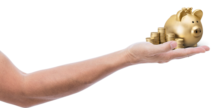 Open Hand Holding Stacked Gold Coins – Wealth and Finance Concept, close-up of an outstretched human hand holding multiple stacks of gold coins. The background is transparent.  Business growth concept