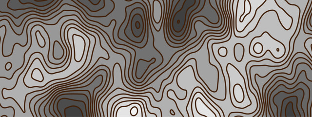 Fototapeta premium black and white topographic contour map background.
