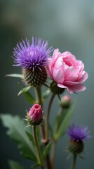 Stylish Flower Bouquet with Wild Thistle and Ranunculus, Soft Pink and Purple Hues, Textured Background of Sage Greens and Earth Tones, Blurred for Focus on Flowers