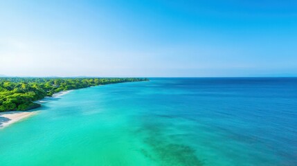 Fototapeta premium Tranquil Beach Scene Featuring Crystal Clear Blue Ocean Waves Lapping Against Golden Sands Framed by Lush Green Trees Under a Bright Sunny Sky
