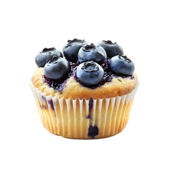 Blueberry muffin isolated on white background
