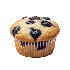 Blueberry muffin isolated on white background