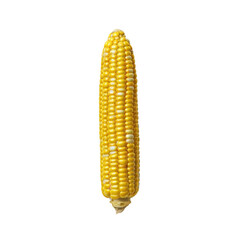 Fresh yellow corn on cob, showcasing its vibrant kernels and natural texture, perfect for culinary use or agricultural themes