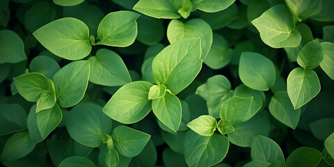 Photo Lush Green Leaves Nature Background Springtime Growth