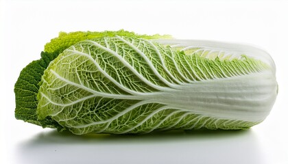 a Chinese cabbage,white background