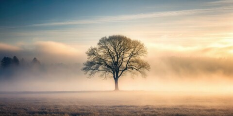Fototapeta premium Minimalist misty scene: a lone tree silhouetted against an ethereal, foggy forest.