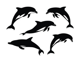 Fototapeta premium Bold Dolphin Silhouette EPS Vector Template Illustration