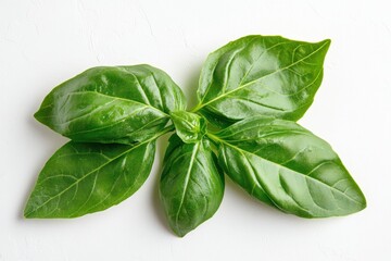 Obraz premium Fresh basil leaves on a light background for culinary use.