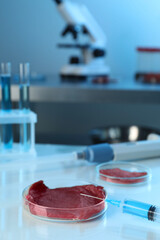 GMO concept. Piece of meat and syringe on table in laboratory