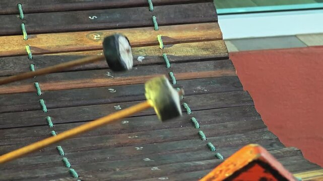 Thai musical instrument Ranad ek