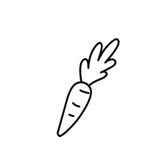carrot line doodle