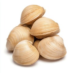 Beige Clamshells Close up on White Background