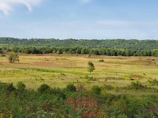 Fototapeta premium Country landscape on a sunny afternoon