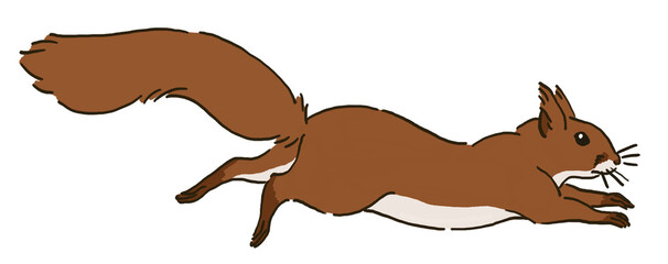 走るリスのイラスト