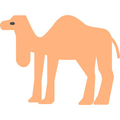 Camal Icon