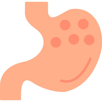 Stomach Icon
