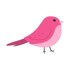 Cute pink bird illustration