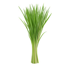 The image displays a close up of a fresh bundle of green chives isolated on transparent background.