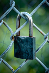 Close-Up of Padlock on Chain-Link Fence Highlighting Security and Protection