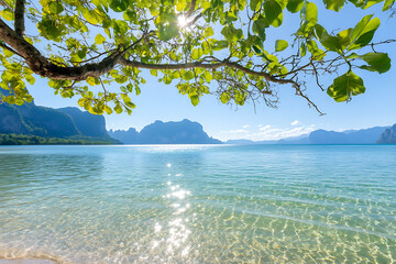 Serene beach scene el nido philippines nature photography tropical paradise wide angle tranquility