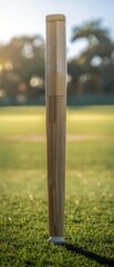 Cricket bat stands upright on grass pitch, sharp focus with soft morning light, blurred background shows hyper-realistic detail watermark human face.
