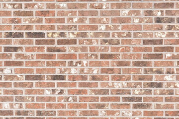 Bright brick wall in the sun.