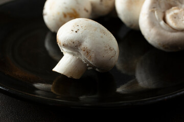 A closeup view of a white button mushroom.