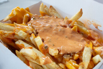 A closeup view of a tray of loaded fries.