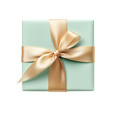 Fototapeta premium gift box with bow