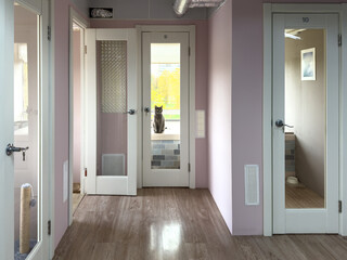 Cat hotel lobby interior with rooms, cat sitting and looking around in suit. Glass doors show cat amenities, including toilet and food stations. Temporary pet care and boarding without owners
