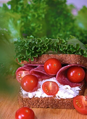 Club sandwich with salami, salad, vegetables, lettuce, cherry tomato, prosciutto, onion, spread cream cheese on a fresh sliced rye bread on wooden background. Healthy eating