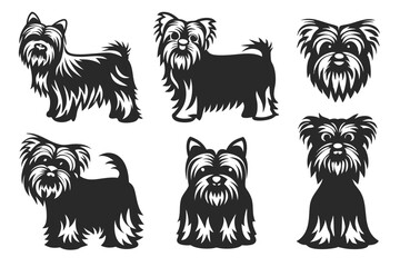 set of Yorkshire Terrier Dog Silhouette vector illustration