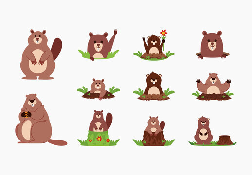 Brown Groundhog Cute Cartoon Illustration Set