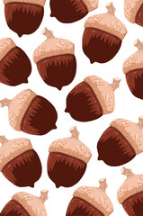 Acorn cartoon isolated on white background. Oak tree forest fruit