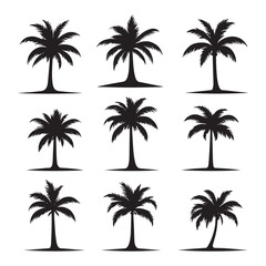 Multiple Palm Trees Illustration