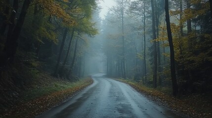 Naklejka premium Misty autumn road winds through a dense forest landscape scenery