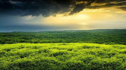 Lush Green Landscape at Sunset with Dramatic Clouds