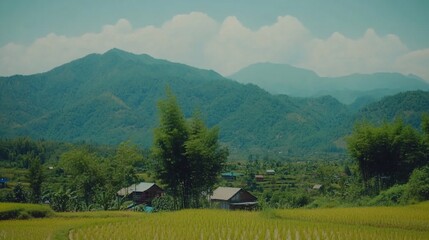Rural Village Rice Paddy Mountain View