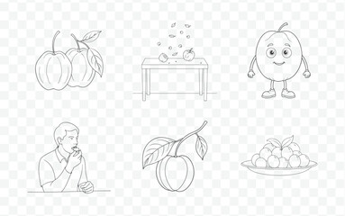 Exquisite Jujube Fruit Line Art Collection