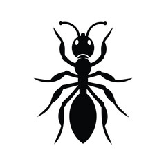 Fire ant insects icon of silhouette black shape vector illustration 35