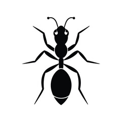 Obraz premium Fire ant insects icon of silhouette black shape vector illustration 3004
