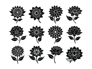 Set of floral design elements silhouette isolated on white background