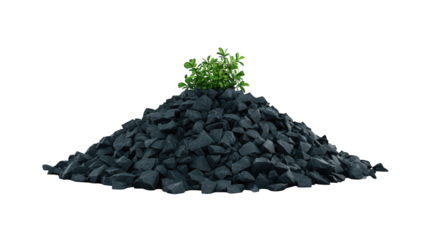 Resilience of nature, plant thriving amidst a pile of coal, symbolizing hope and renewal