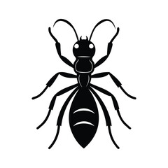 Fototapeta premium Carpenter ant insects icon of silhouette black shape vector illustration 3012