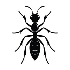 Obraz premium Carpenter ant insects icon of silhouette black shape vector illustration 3013
