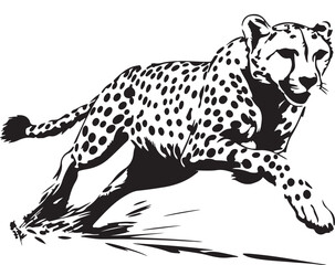 vector illustration of a leopard