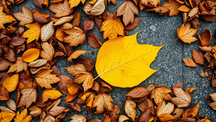 Autumnal Tapestry: A Vibrant Mosaic of Fall Foliage