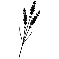 Realistic Lavender Plant Vector | Editable & Scalable Design